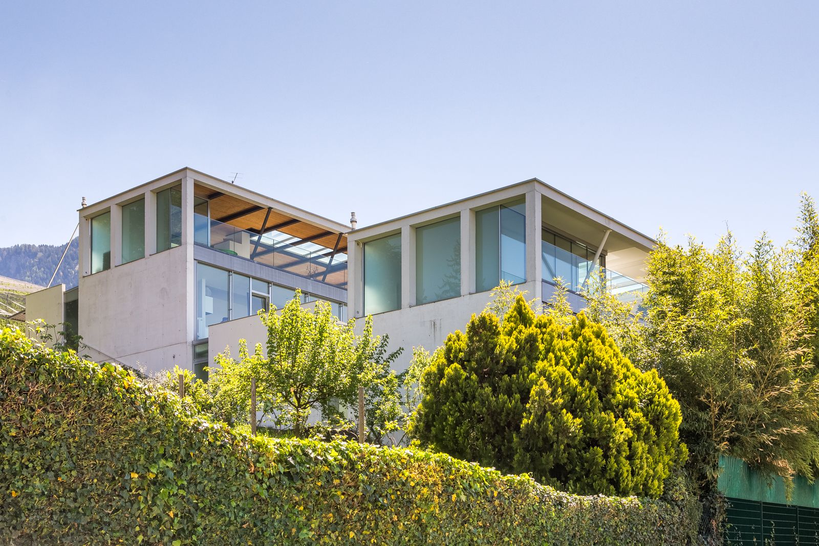 Modernes Betonhaus mit großen Fensterfronten, umgeben von Hecke und grünen Bäumen unter blauem Himmel Modernes Betonhaus mit großen Fensterfronten, umgeben von Hecke und grünen Bäumen unter blauem Himmel
