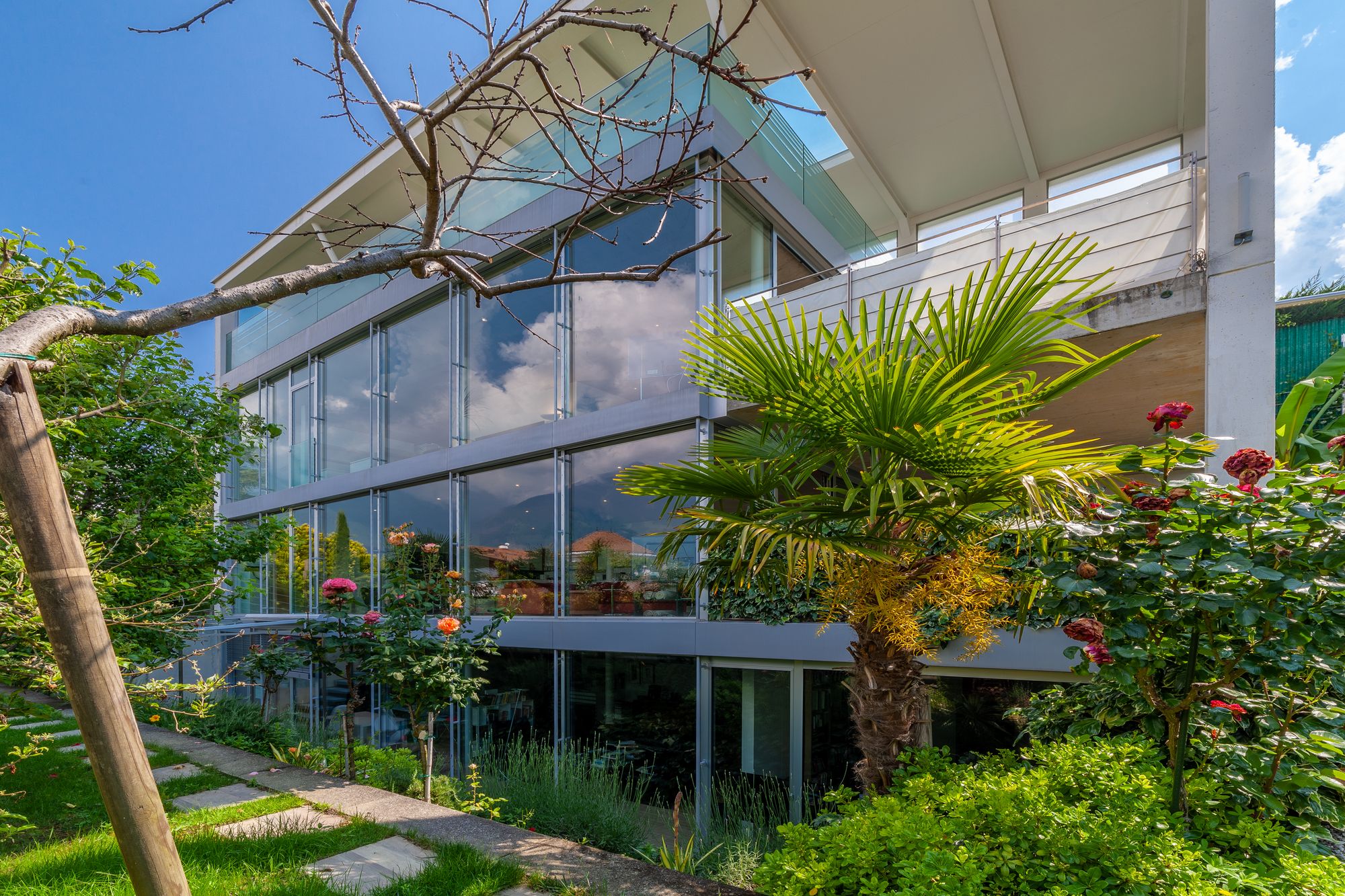 Modernes Haus mit großen Glasfronten, Palme und Rosen im Garten. Modernes Haus mit großen Glasfronten, Palme und Rosen im Garten.