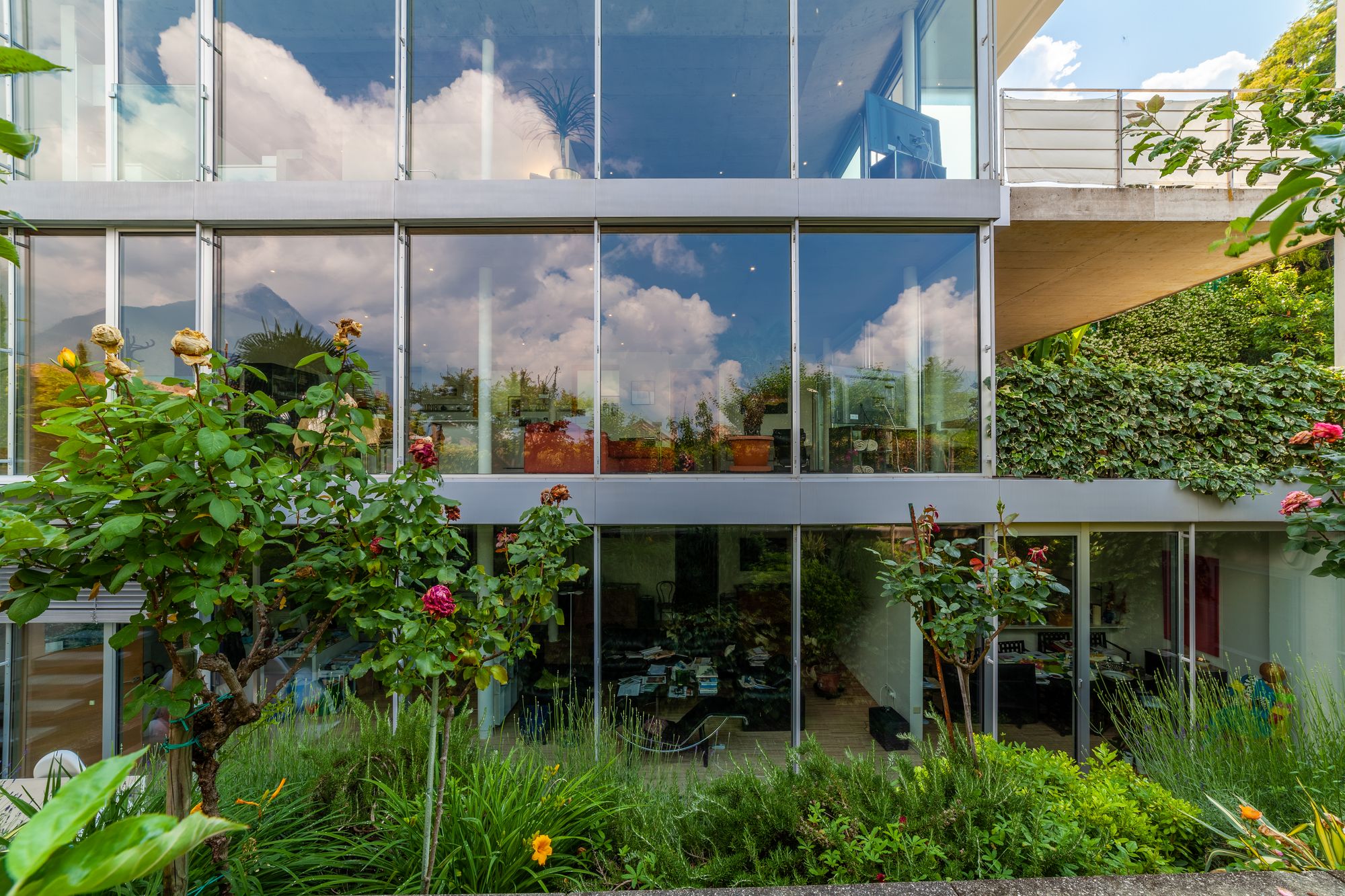 Moderne Glasfassade mit Spiegelung des Himmels und Rosenbüschen im Vordergrund Moderne Glasfassade mit Spiegelung des Himmels und Rosenbüschen im Vordergrund